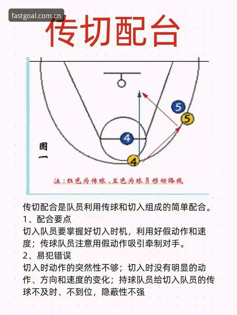 揭秘球速体育互动平台：新手必看的五大真相与操作指南